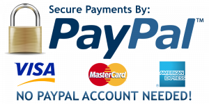 payment-gateway-paypal